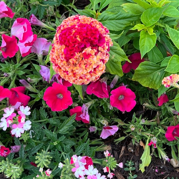 RARE⚡️Vicky Tiel 80’s gypsy flutter dress - Picture 4 of 4